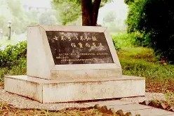 开元体育官网 韦世豪故意踢前队友被红牌罚下 