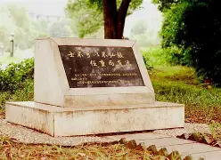  韦世豪故意踢前队友被红牌罚下 